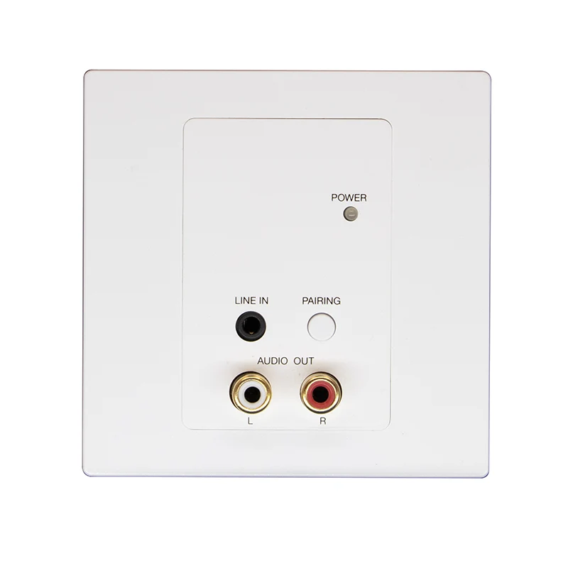 2CH RCA Bluetooth Dante Panel